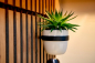 Preview: Blumentopfring Soeren