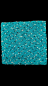 Preview: VORWERK NEAPEL BLAU