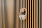 Preview: Jesper - Haken kurz mit Holzknopf Small