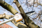 Preview: MA-MS 25 (601727850) Hochentaster-Aufsatz