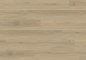 Preview: CORONAfloors Designboden Rigid-Click Eiche Agadir