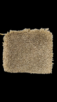 SALERNO MITTELBRAUN