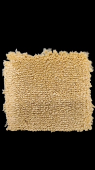 SALERNO BRAUN BEIGE