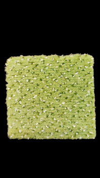 VORWERK NEAPEL GRÜN