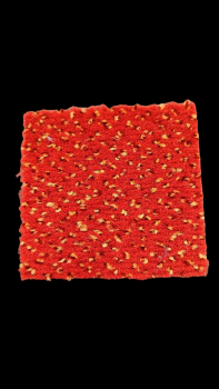 VORWERK NEAPEL ROT