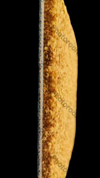 VORWERK ANDRIA ROSA