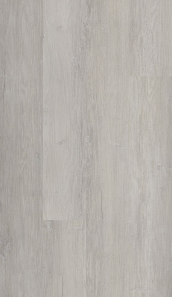 Designboden Rigid-Klick Silent Eiche Springbrook