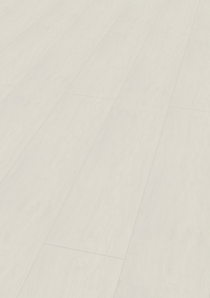 Paneel Softprofil Birke Grauweiß